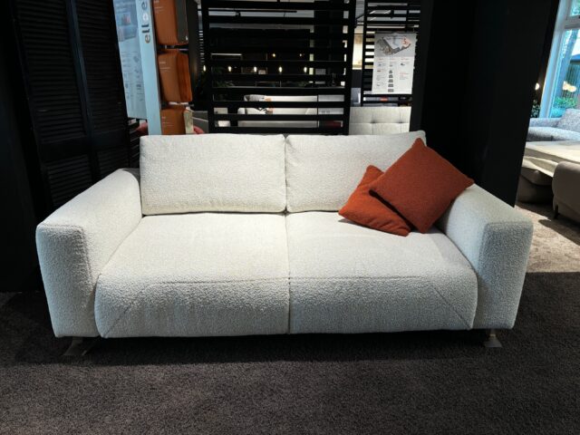 Lounge sofa is our showroom model sofa bed Simple